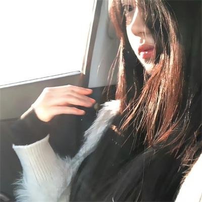 萌犬好声音2